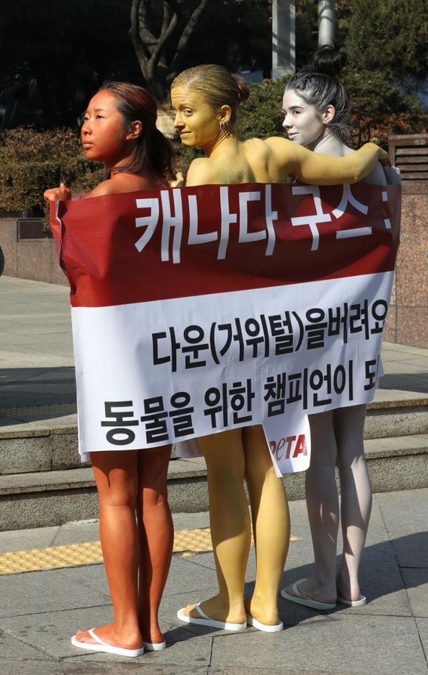 2018년 10월 국제동물권리단체 페타(PETA) 회원들이 서울 광화문에서 동물 패션 반대 시위를 벌이고 있다. (연합뉴스)
