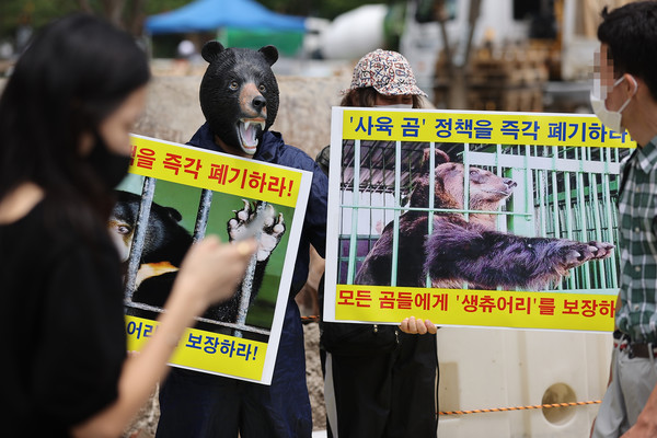 곰탈을 쓴 한국동물보호연합 회원들이 지난 7월 18일 서울 종로구 광화문광장 인근에서 사육곰 정책 즉각 폐기와 야생동물 보호시설 마련을 촉구하며 시위를 벌이고 있다. (연합뉴스)