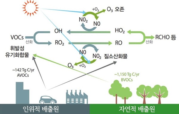 국립환경과학원…15일부터 오존농도 이틀 후까지 예보