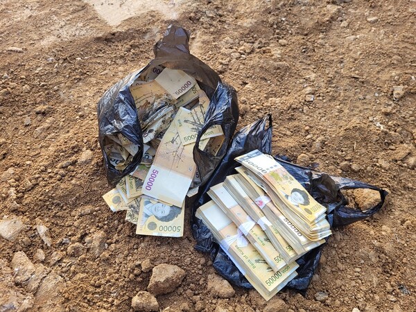  2월 1일 인천 서구 쓰레기 매립장에서 발견된 5만원권 돈뭉치. (수도권매립지관리공사)